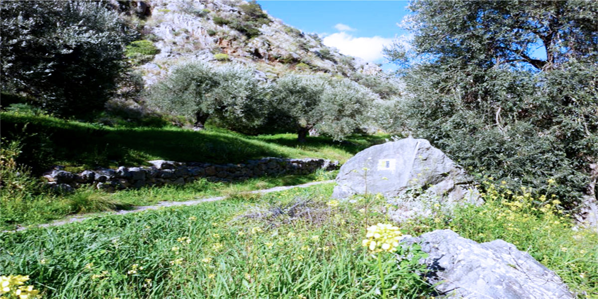 delphi ancient stone path